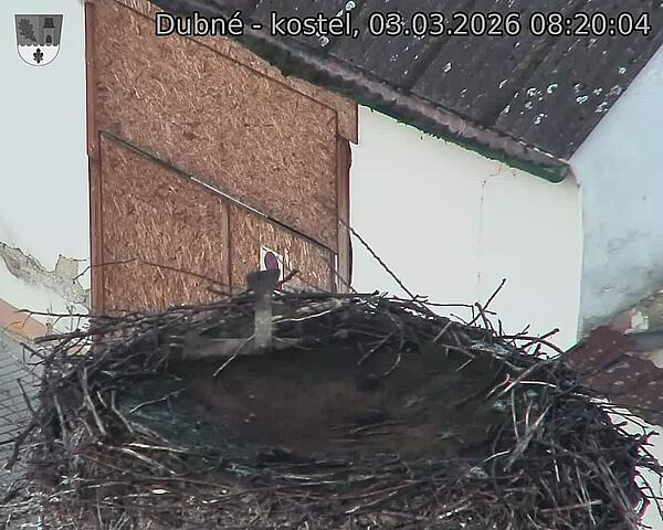 Capi_Dubne_20260303_082004.jpg (1350&nbsp;x&nbsp;1080)