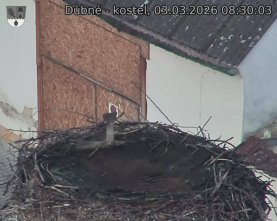 Capi_Dubne_20260303_083003.jpg (1350&nbsp;x&nbsp;1080)