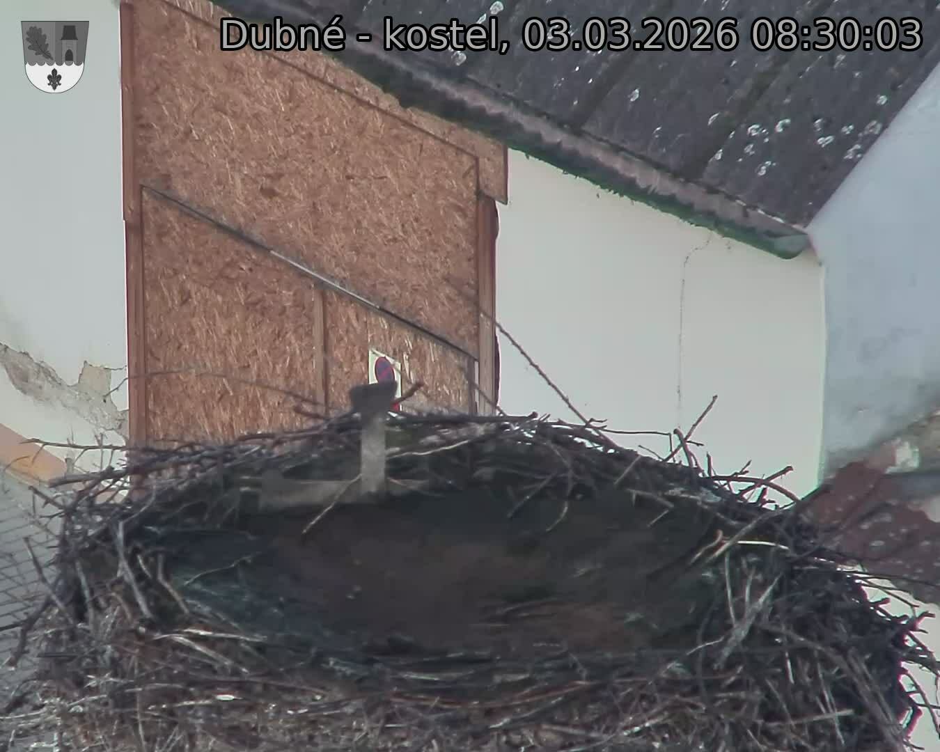 Capi_Dubne_20260303_083003.jpg (1350&nbsp;x&nbsp;1080)