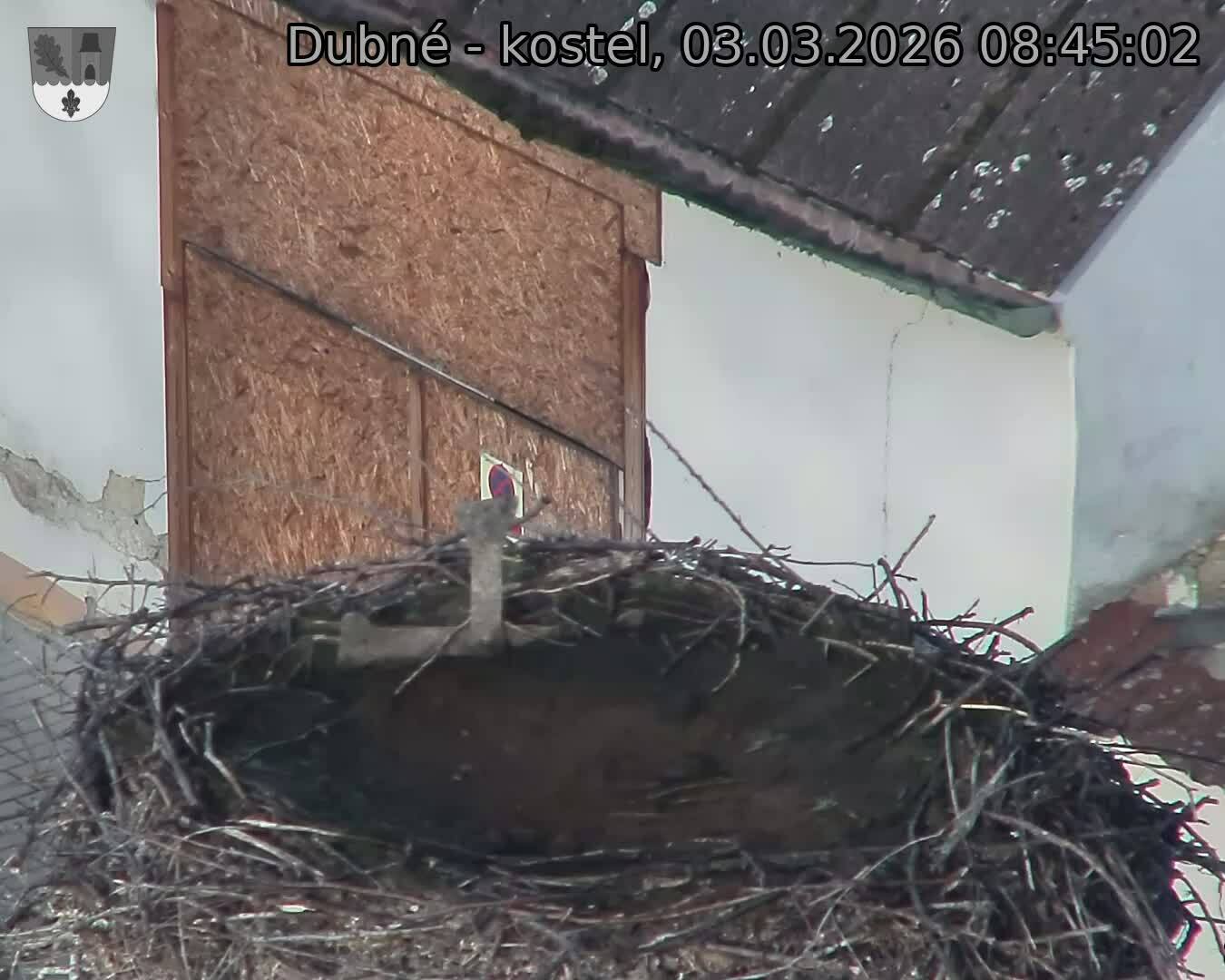 Capi_Dubne_20260303_084502.jpg (1350&nbsp;x&nbsp;1080)