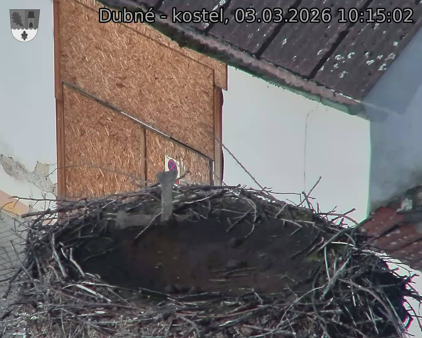 Capi_Dubne_20260303_101502.jpg (1350&nbsp;x&nbsp;1080)