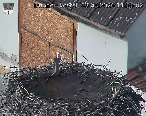 Capi_Dubne_20260303_115502.jpg (1350&nbsp;x&nbsp;1080)