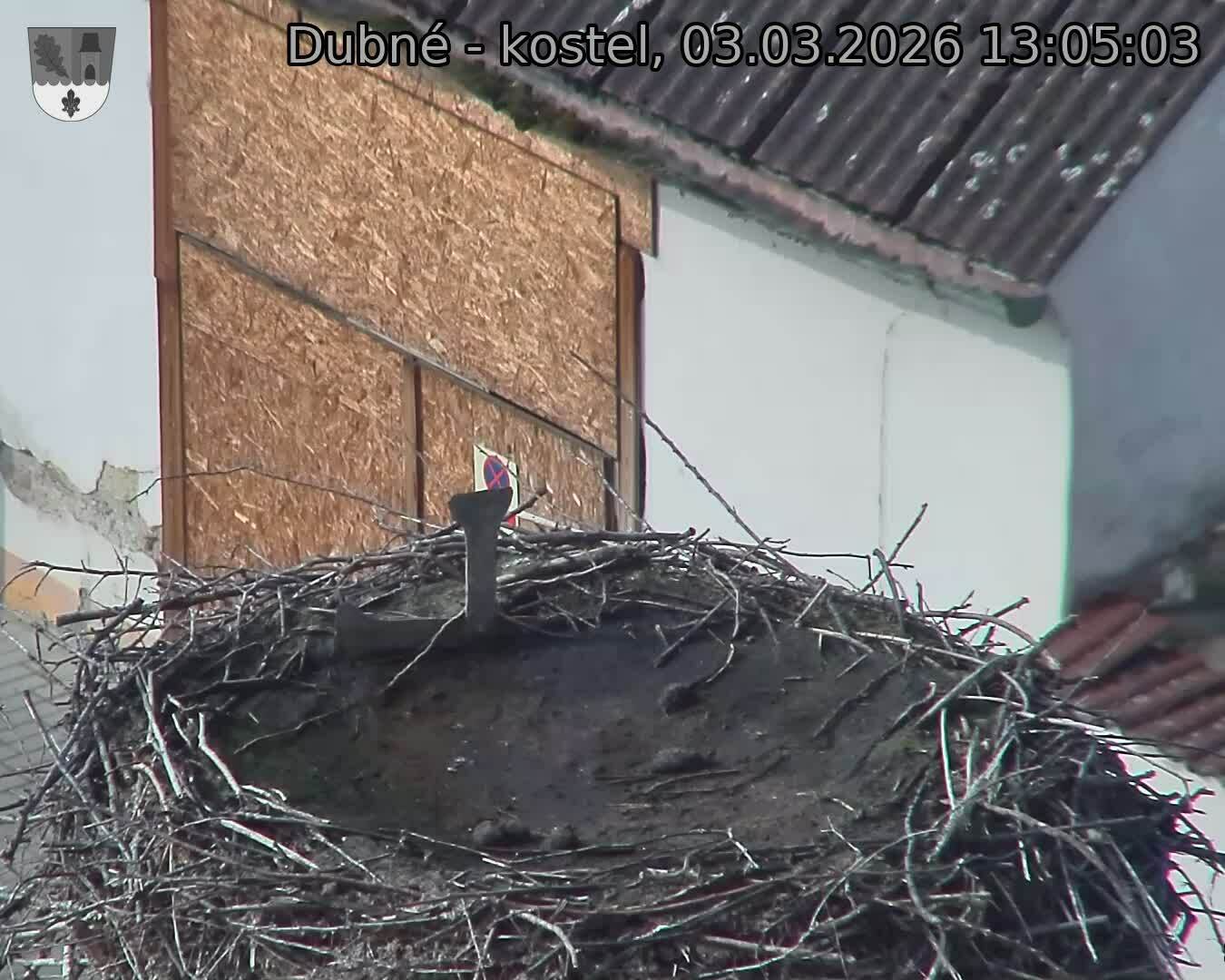 Capi_Dubne_20260303_130503.jpg (1350&nbsp;x&nbsp;1080)