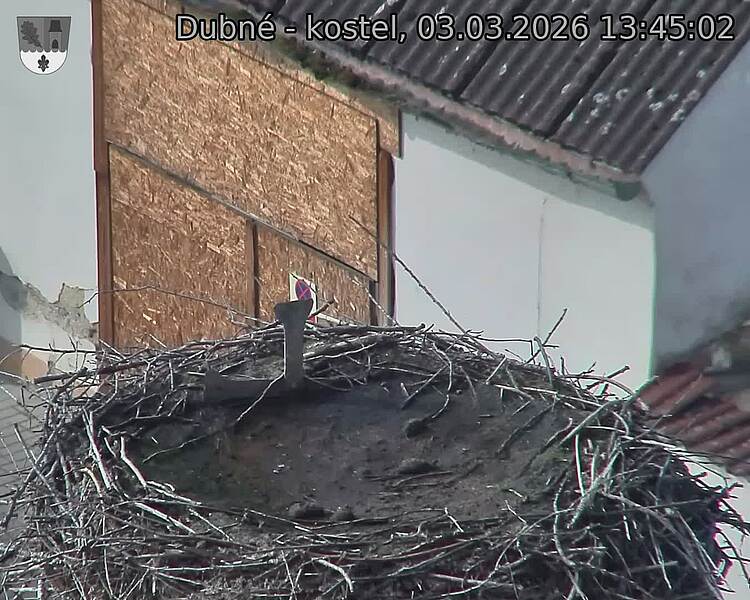 Capi_Dubne_20260303_134502.jpg (1350&nbsp;x&nbsp;1080)