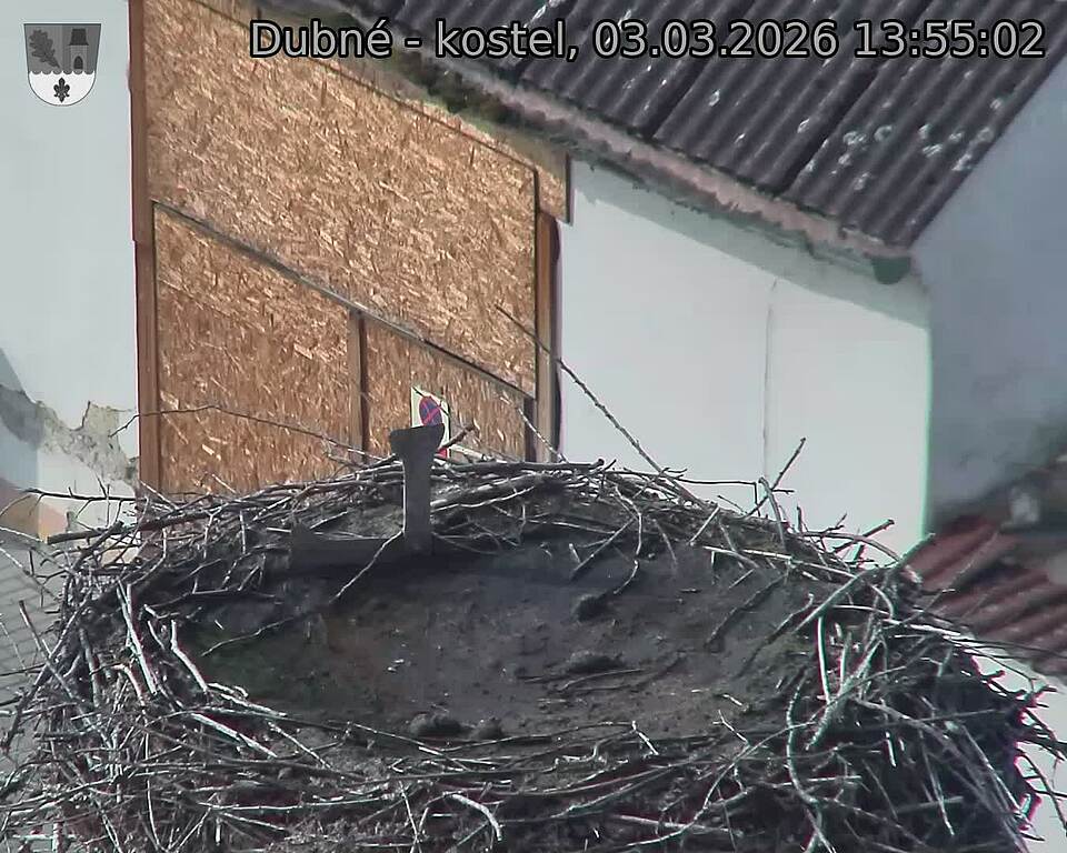 Capi_Dubne_20260303_135502.jpg (1350&nbsp;x&nbsp;1080)
