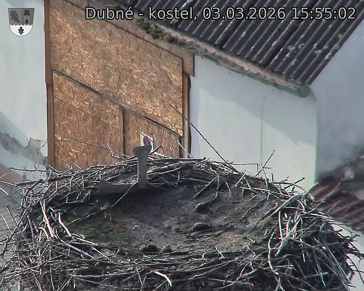 Capi_Dubne_20260303_155502.jpg (1350&nbsp;x&nbsp;1080)