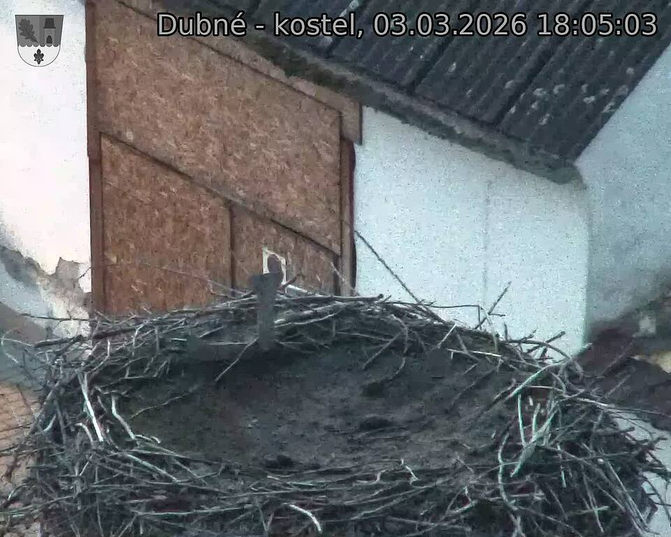 Capi_Dubne_20260303_180503.jpg (1350&nbsp;x&nbsp;1080)