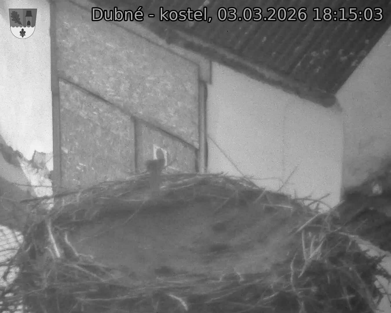 Capi_Dubne_20260303_181503.jpg (1350&nbsp;x&nbsp;1080)