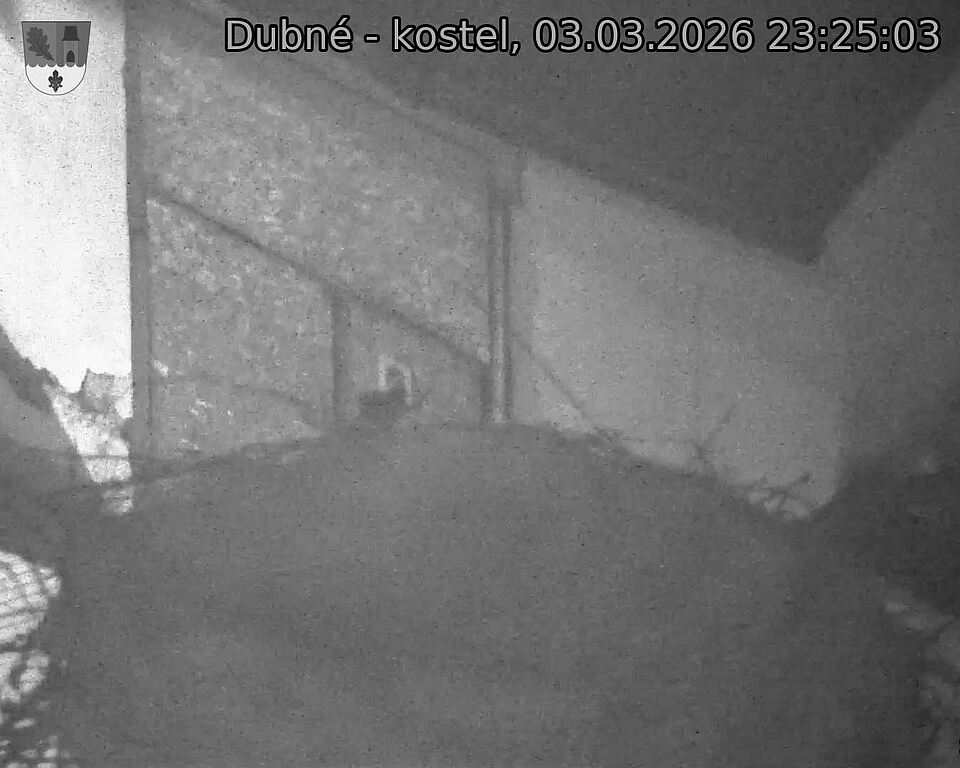 Capi_Dubne_20260303_232503.jpg (1350&nbsp;x&nbsp;1080)