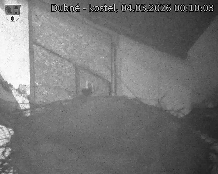 Capi_Dubne_20260304_001003.jpg (1350&nbsp;x&nbsp;1080)