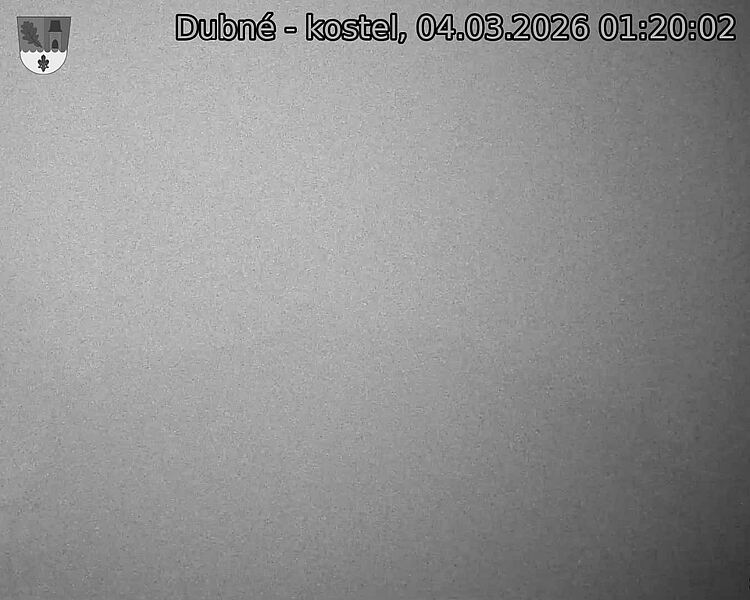 Capi_Dubne_20260304_012002.jpg (1350&nbsp;x&nbsp;1080)