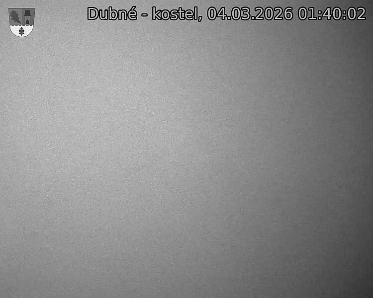 Capi_Dubne_20260304_014002.jpg (1350&nbsp;x&nbsp;1080)