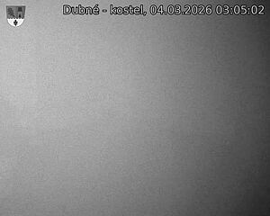 Capi_Dubne_20260304_030502.jpg (1350&nbsp;x&nbsp;1080)