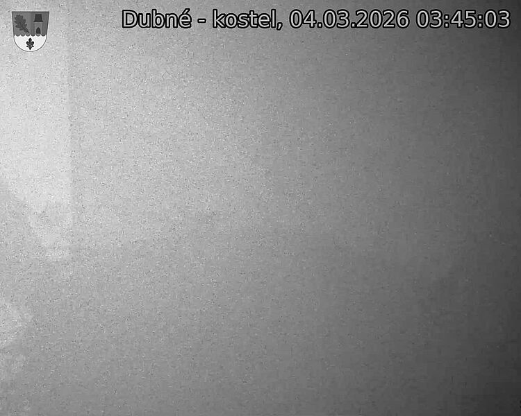 Capi_Dubne_20260304_034503.jpg (1350&nbsp;x&nbsp;1080)