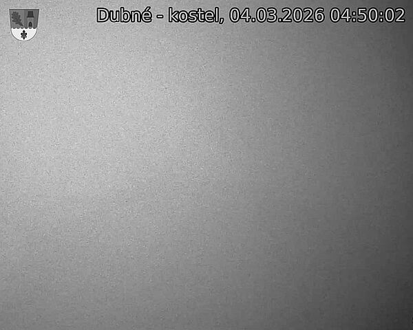 Capi_Dubne_20260304_045002.jpg (1350&nbsp;x&nbsp;1080)