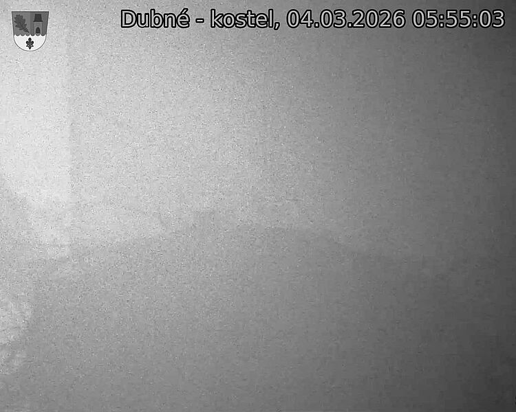 Capi_Dubne_20260304_055503.jpg (1350&nbsp;x&nbsp;1080)