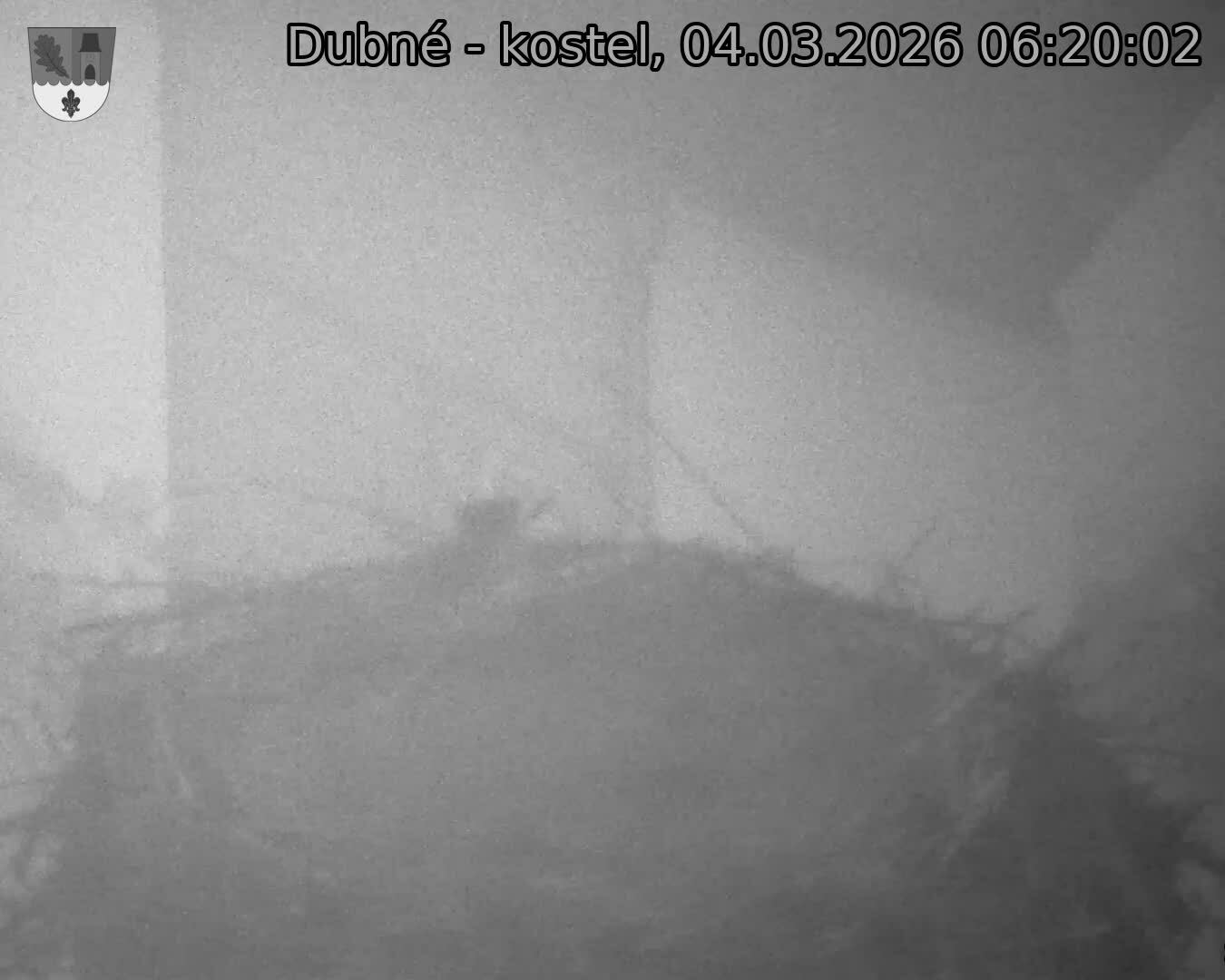 Capi_Dubne_20260304_062002.jpg (1350&nbsp;x&nbsp;1080)