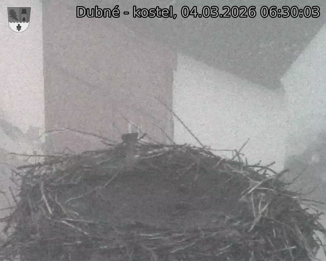 Capi_Dubne_20260304_063003.jpg (1350&nbsp;x&nbsp;1080)