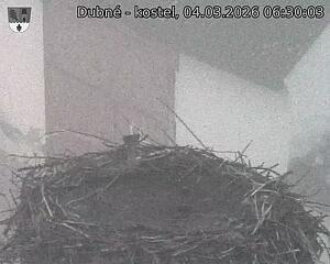 Capi_Dubne_20260304_063003.jpg (1350&nbsp;x&nbsp;1080)