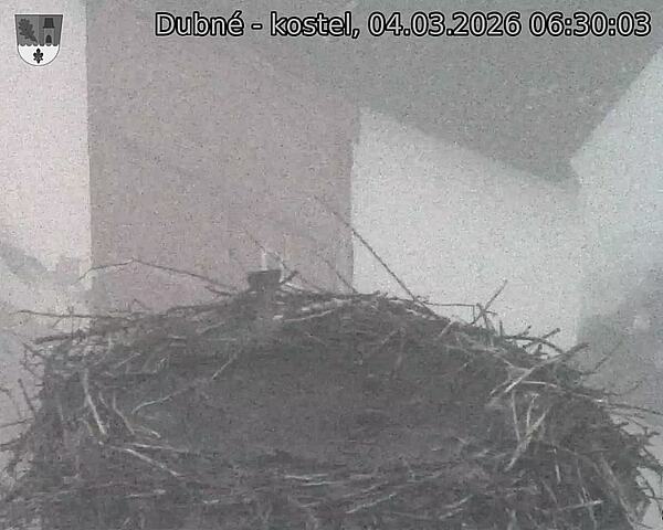 Capi_Dubne_20260304_063003.jpg (1350&nbsp;x&nbsp;1080)