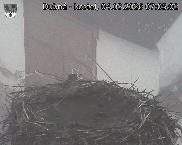 Capi_Dubne_20260304_070502.jpg (1350&nbsp;x&nbsp;1080)