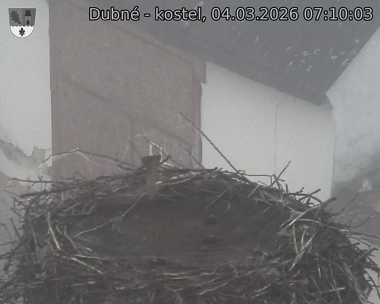 Capi_Dubne_20260304_071003.jpg (1350&nbsp;x&nbsp;1080)