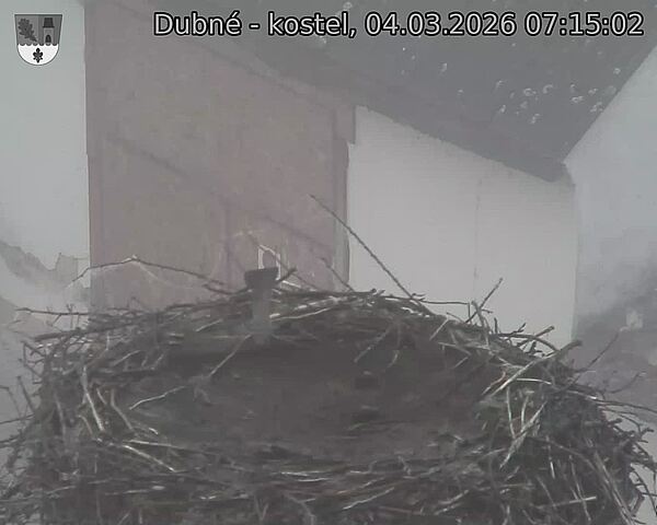 Capi_Dubne_20260304_071502.jpg (1350&nbsp;x&nbsp;1080)