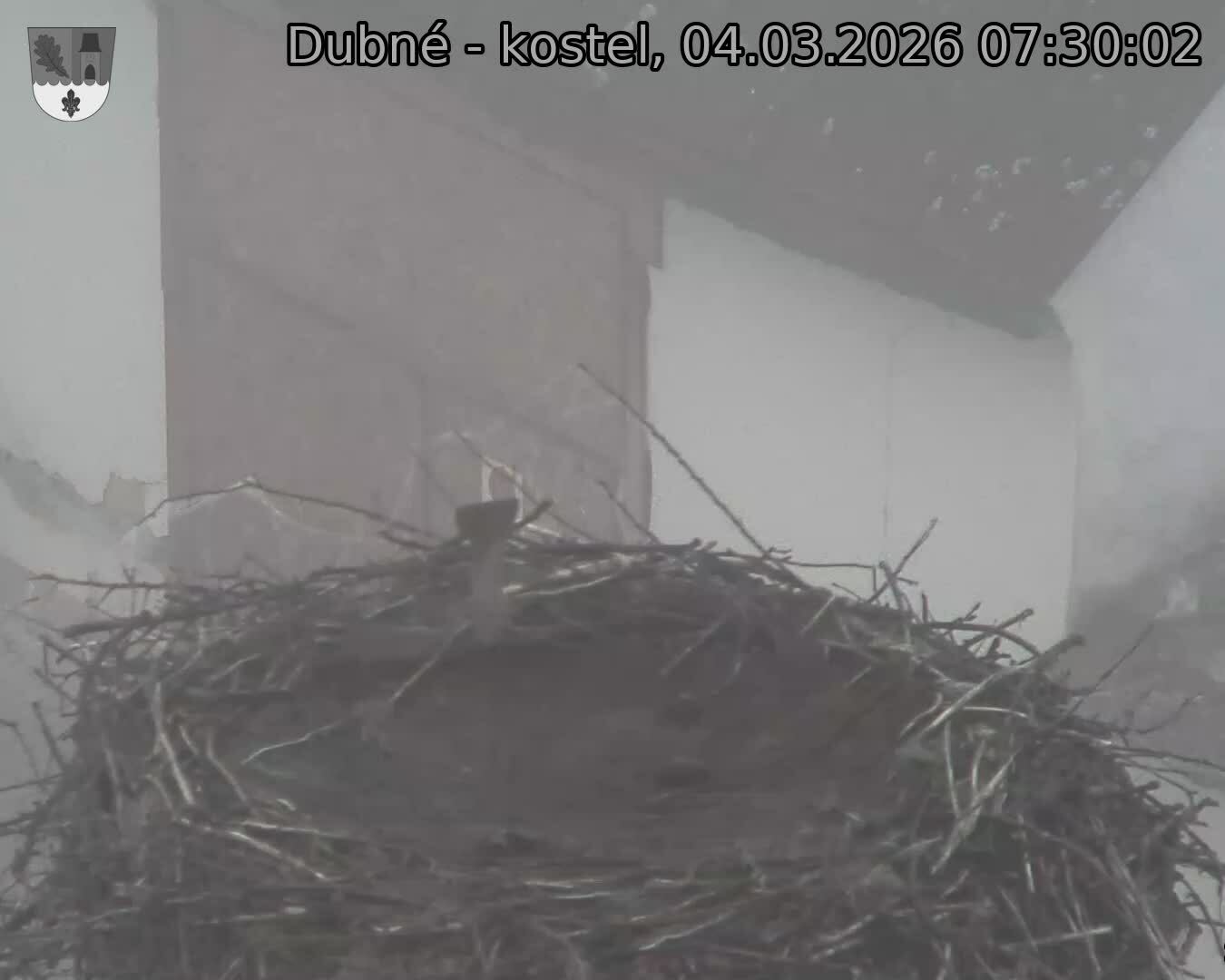 Capi_Dubne_20260304_073002.jpg (1350&nbsp;x&nbsp;1080)