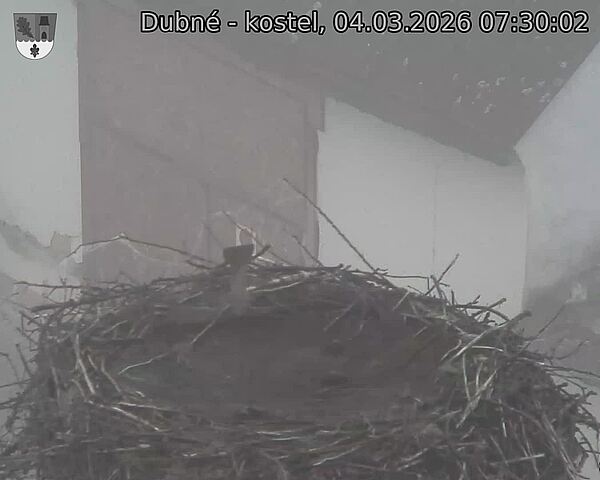 Capi_Dubne_20260304_073002.jpg (1350&nbsp;x&nbsp;1080)