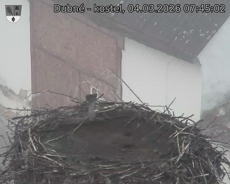 Capi_Dubne_20260304_074502.jpg (1350&nbsp;x&nbsp;1080)