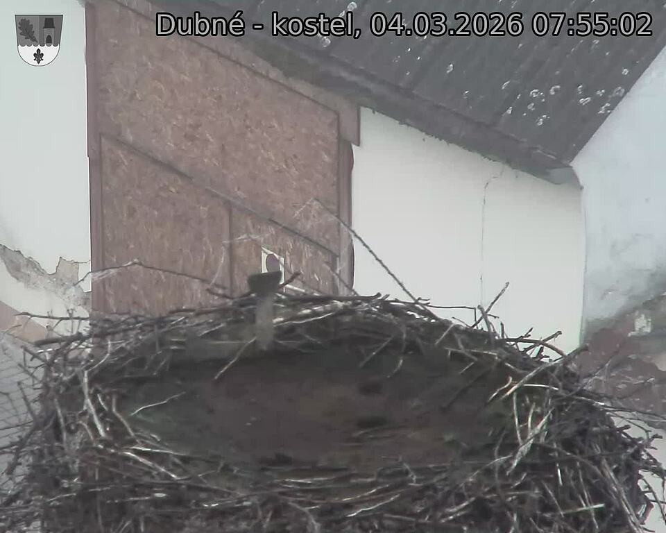 Capi_Dubne_20260304_075502.jpg (1350&nbsp;x&nbsp;1080)