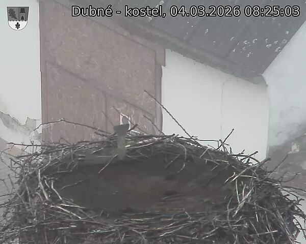 Capi_Dubne_20260304_082503.jpg (1350&nbsp;x&nbsp;1080)