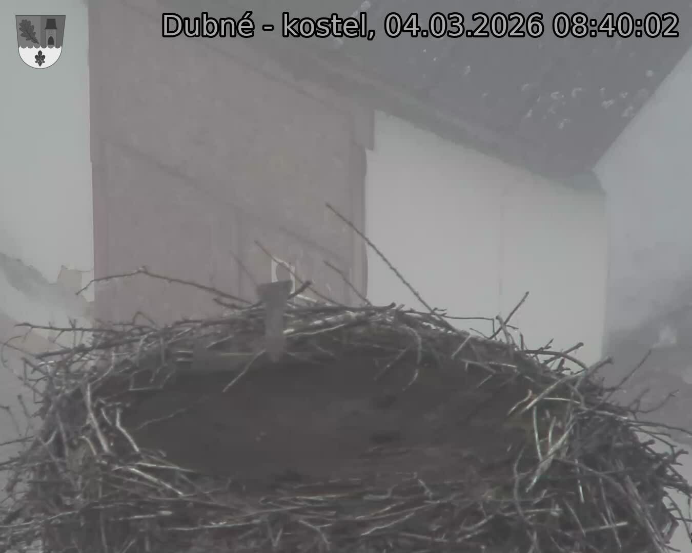 Capi_Dubne_20260304_084002.jpg (1350&nbsp;x&nbsp;1080)