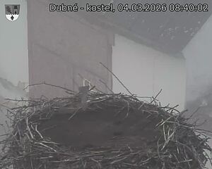 Capi_Dubne_20260304_084002.jpg (1350&nbsp;x&nbsp;1080)