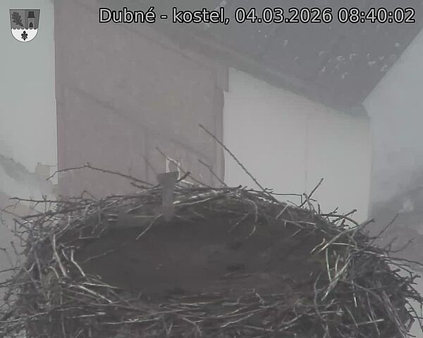 Capi_Dubne_20260304_084002.jpg (1350&nbsp;x&nbsp;1080)