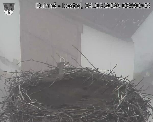 Capi_Dubne_20260304_085003.jpg (1350&nbsp;x&nbsp;1080)
