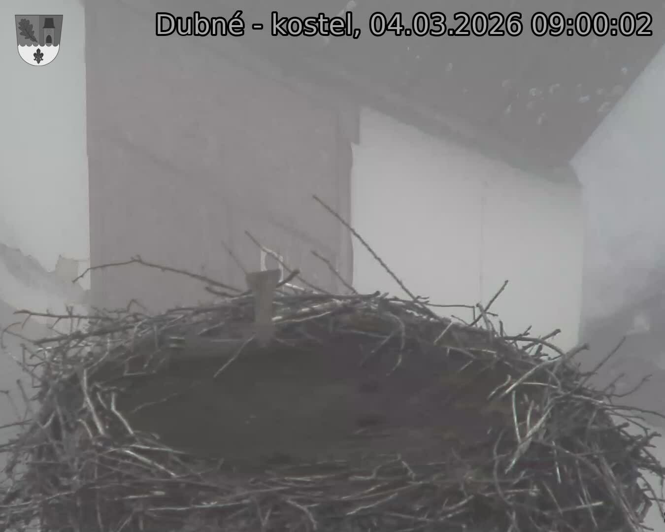 Capi_Dubne_20260304_090002.jpg (1350&nbsp;x&nbsp;1080)