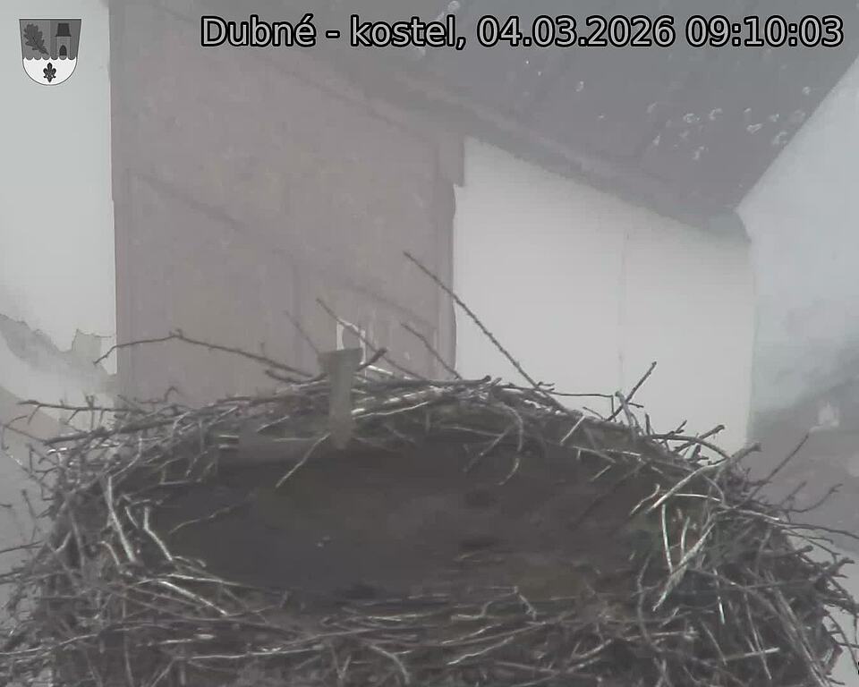 Capi_Dubne_20260304_091003.jpg (1350&nbsp;x&nbsp;1080)