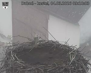 Capi_Dubne_20260304_091003.jpg (1350&nbsp;x&nbsp;1080)