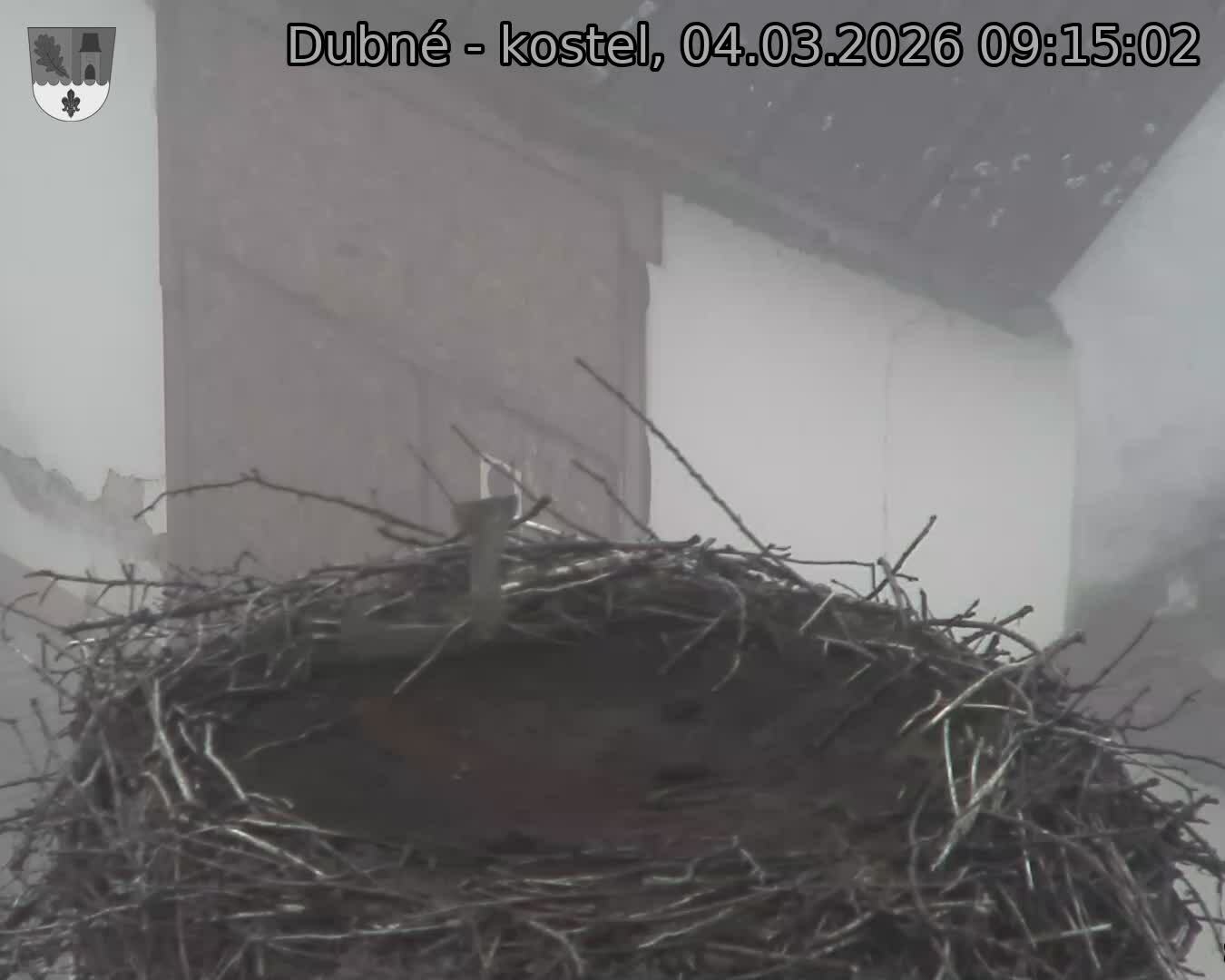 Capi_Dubne_20260304_091502.jpg (1350&nbsp;x&nbsp;1080)