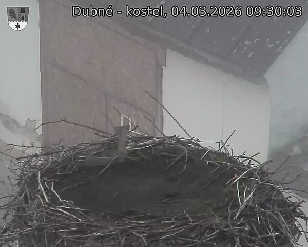 Capi_Dubne_20260304_093003.jpg (1350&nbsp;x&nbsp;1080)