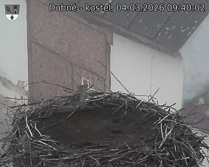 Capi_Dubne_20260304_094002.jpg (1350&nbsp;x&nbsp;1080)