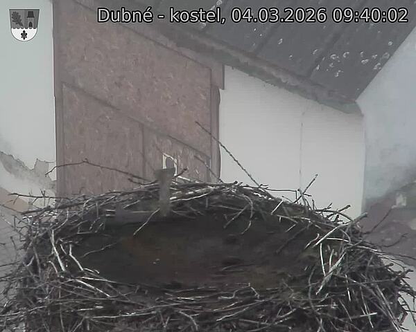Capi_Dubne_20260304_094002.jpg (1350&nbsp;x&nbsp;1080)
