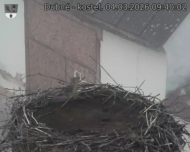 Capi_Dubne_20260304_094002.jpg (1350&nbsp;x&nbsp;1080)