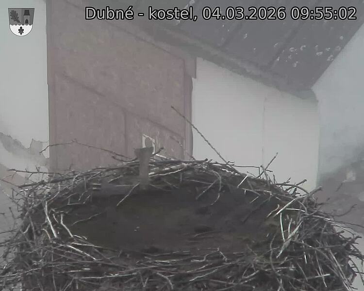 Capi_Dubne_20260304_095502.jpg (1350&nbsp;x&nbsp;1080)