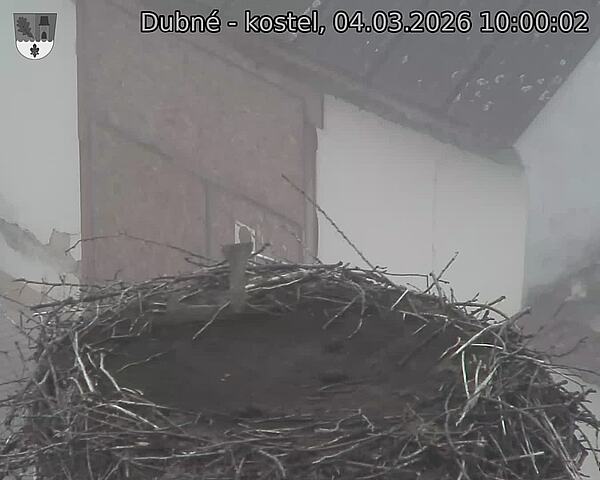 Capi_Dubne_20260304_100002.jpg (1350&nbsp;x&nbsp;1080)