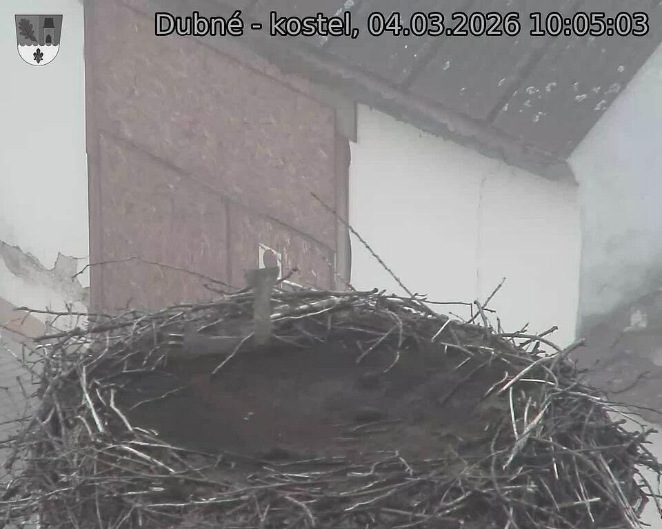 Capi_Dubne_20260304_100503.jpg (1350&nbsp;x&nbsp;1080)