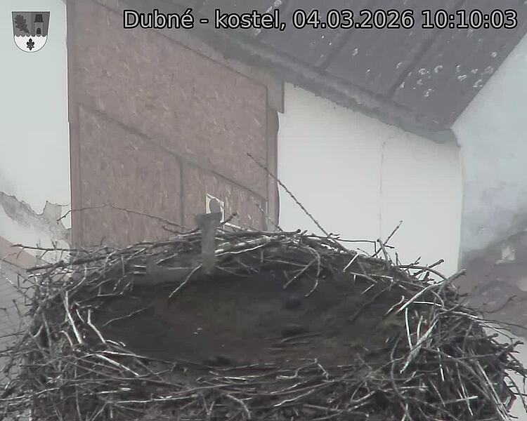 Capi_Dubne_20260304_101003.jpg (1350&nbsp;x&nbsp;1080)