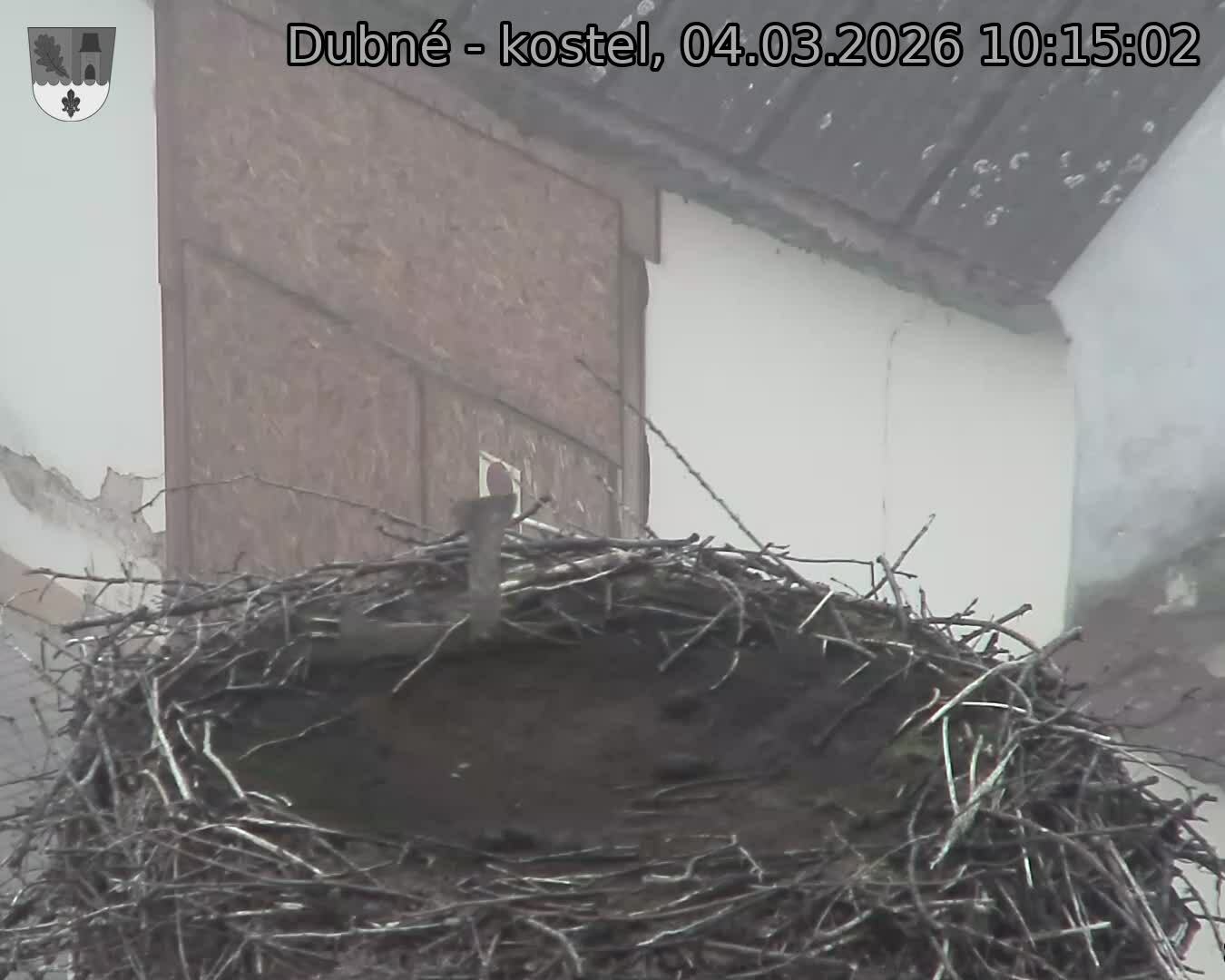 Capi_Dubne_20260304_101502.jpg (1350&nbsp;x&nbsp;1080)