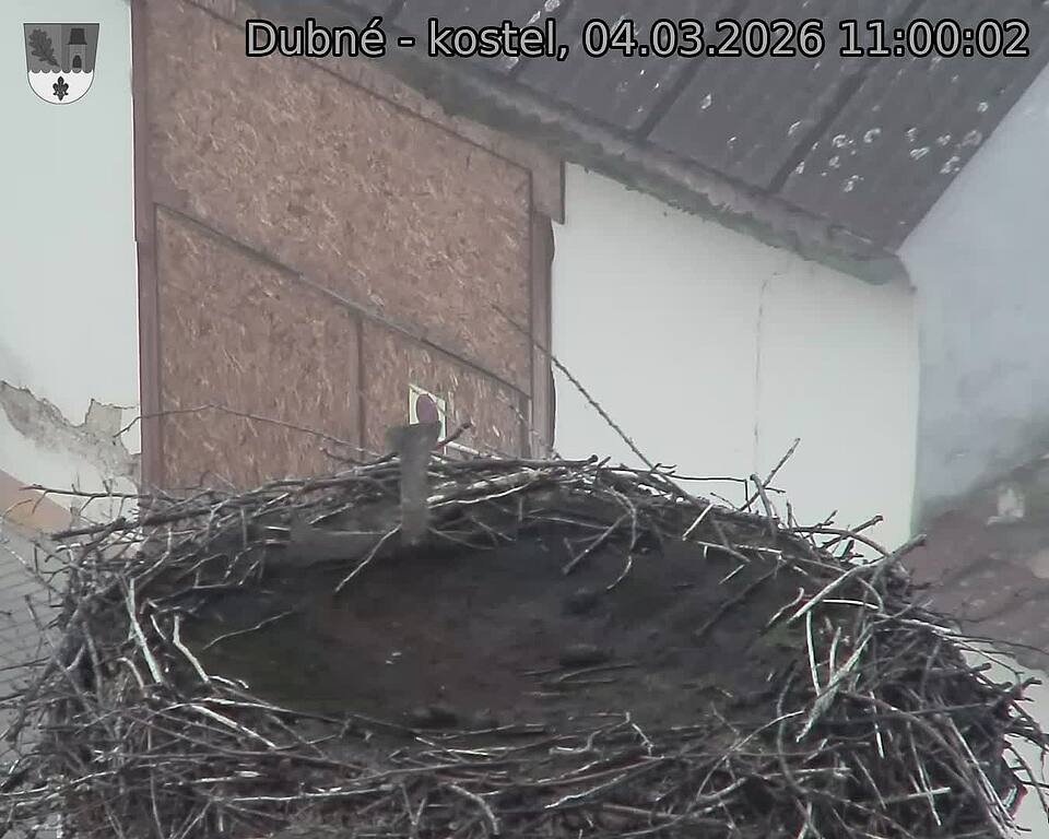 Capi_Dubne_20260304_110002.jpg (1350&nbsp;x&nbsp;1080)